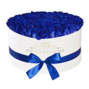 101 Trandafiri albastrii in cutie gigantă albă